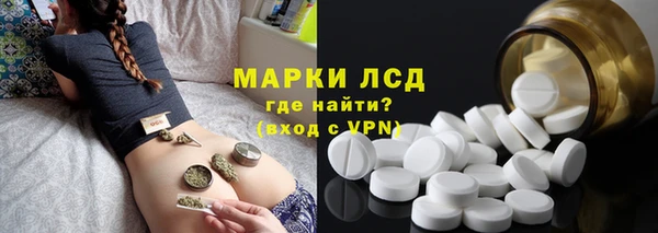 сатива Беломорск