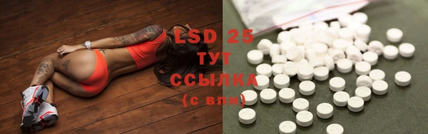 трава Белокуриха